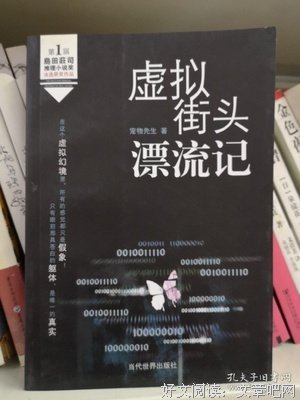 《虚拟街头漂流记》读后感精选