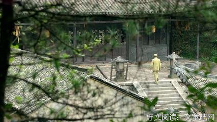 《铁血茶城》观后感摘抄
