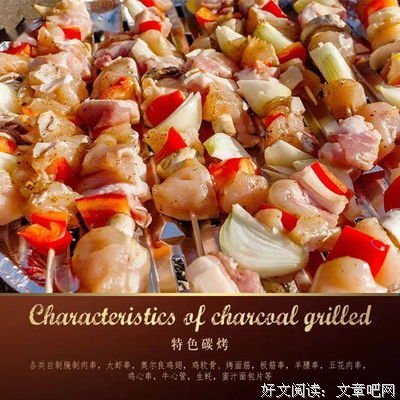 《马奈的绘画》的读后感大全
