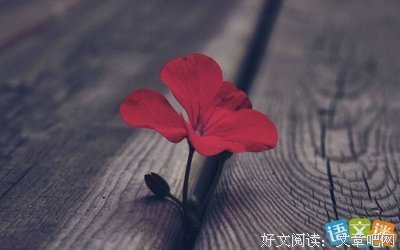 含英咀华好词好句