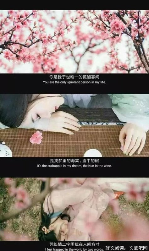 有关古风原创句集的句子