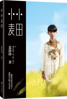 麦洛洛《小小麦田》经典的句子