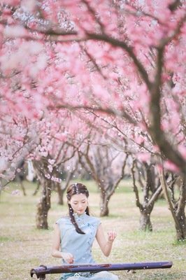 泪落红颜y的句子