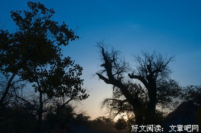 《死亡笔记》经典影评集