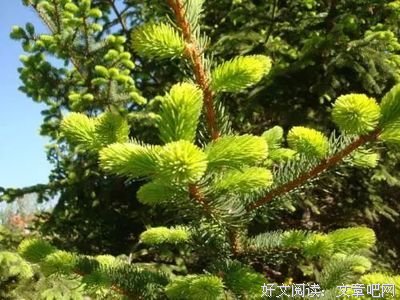 咬紧牙关的名言_关于咬紧牙关的名言