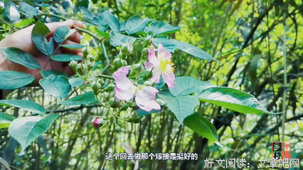 据为己有的语句摘抄_关于据为己有的语句