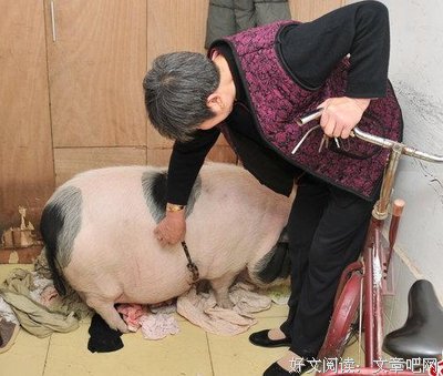 关于寸步不离的座右铭