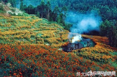 万紫千红的语句摘抄_关于万紫千红的语句
