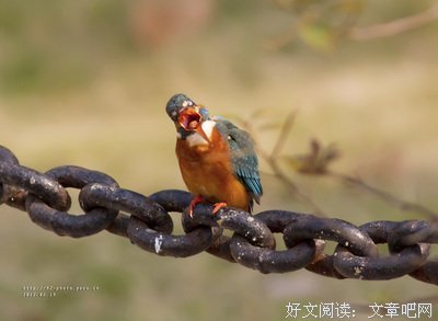 关于一吐为快的座右铭
