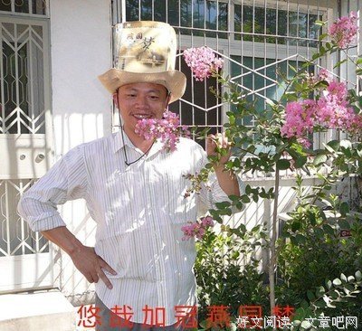 关于也许习惯，也许喜欢的优美句子