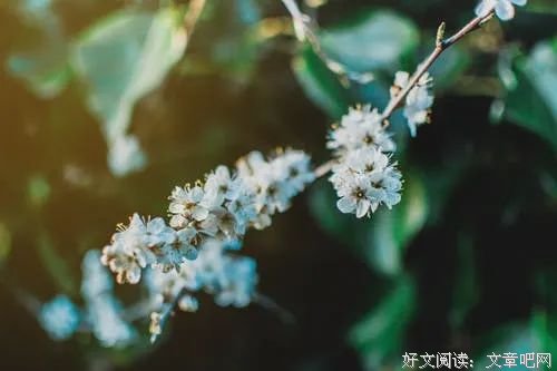 心 路（值得一看）