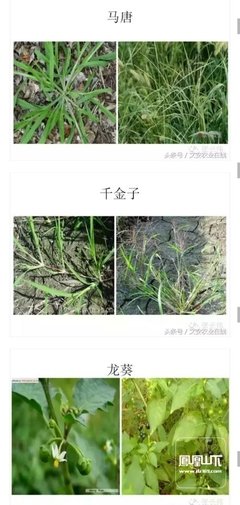 描写寒来暑往的语句摘抄