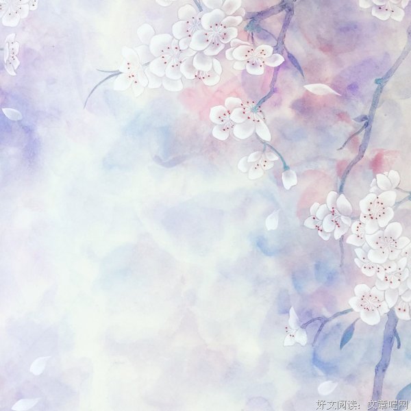 雾里看花的语句摘抄_关于雾里看花的语句