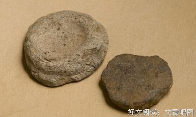 擦屁股的句子