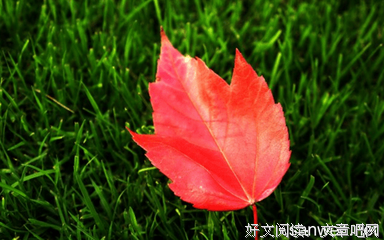 原创句集的优美句子