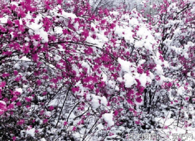 跟老男人的风花雪月