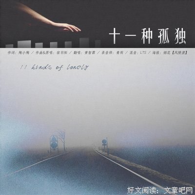 十一种孤独经典读后感有感