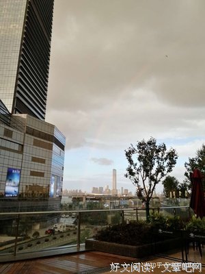 我的青春从爱你开始读后感精选