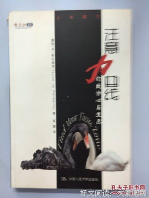 《注意力曲线》的读后感大全