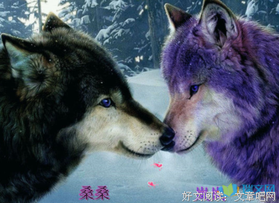 狼王梦读后感摘抄
