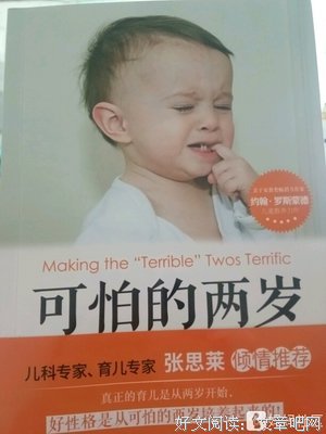《魔王》经典读后感有感