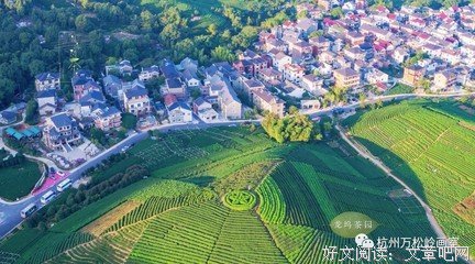 诗意的栖息