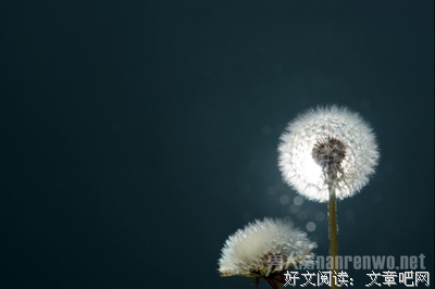 异性交往，女人有这三种心态，感情很难走到头