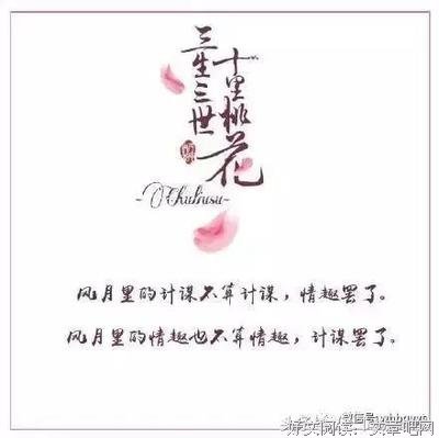 【惊主军开绝艳。】句子