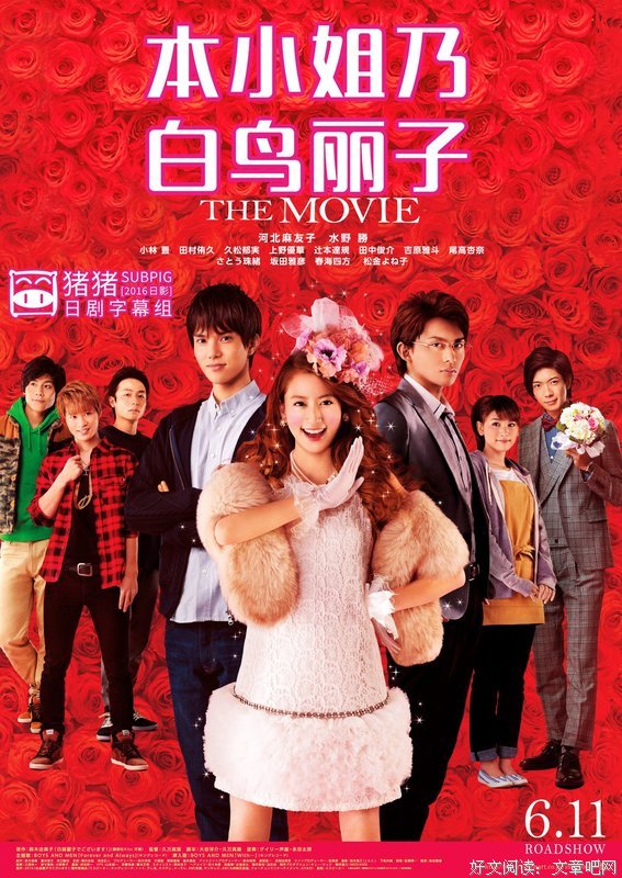 《本小姐乃白鸟丽子》好看吗？经典观后感锦集