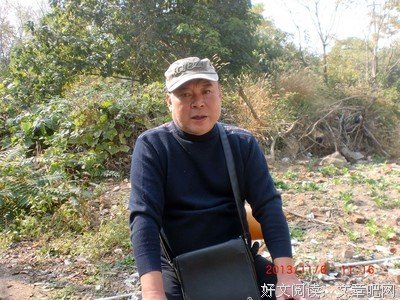 《每次见面都像是告别》的影评大全