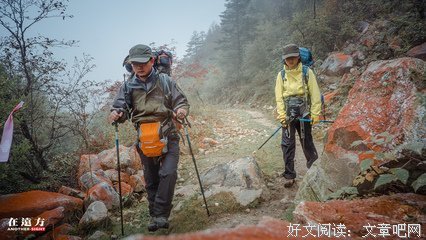 《自行车》影评摘抄