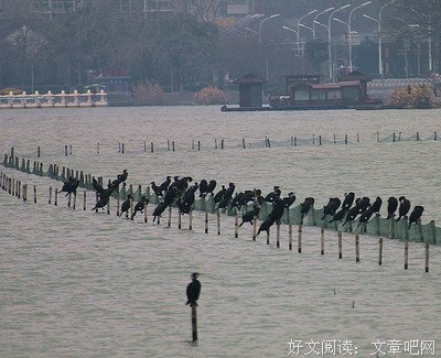 关于置若罔闻的座右铭