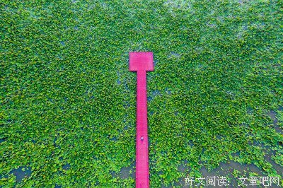 闲庭信步的句子