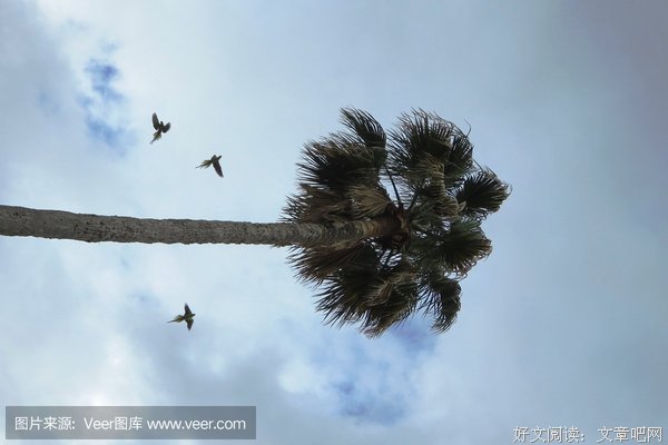 灰色轨迹优美的句子