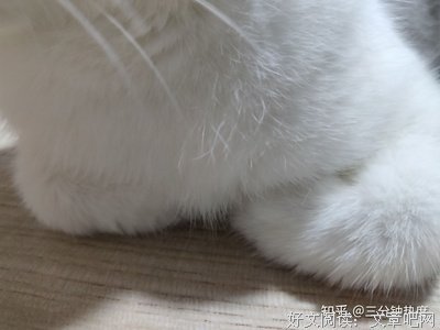小哥哥这身材实在太辣眼睛了！