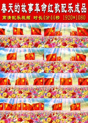 春天的故事经典读后感有感