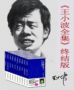 《王小波全集（第六卷 中篇小说）》读后感锦集