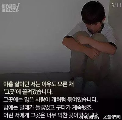 《逃离奥斯维辛》读后感锦集