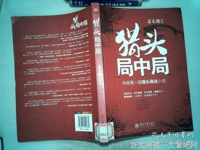 猎头局中局Ⅱ读后感1000字