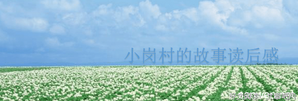 《小岗村的故事》读后感锦集