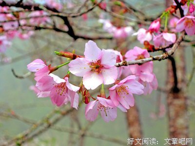 我问时间！