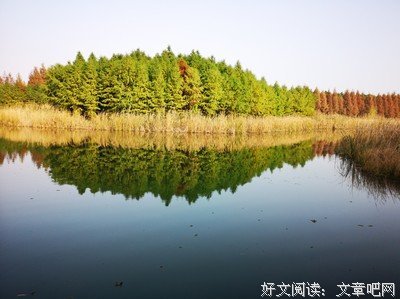 关于匆匆流年的优美句子