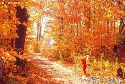 愿得一心人句子大全