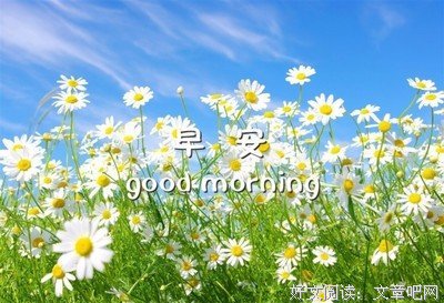 伤感优美的句子
