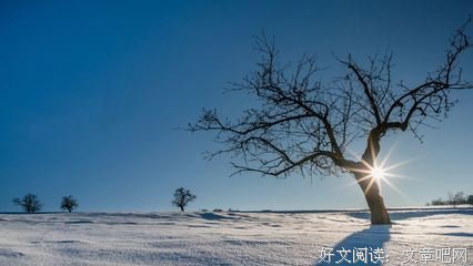 《2030彼岸的家人》观后感摘抄