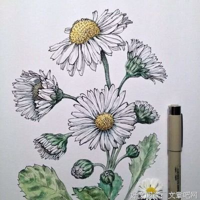 不知不觉，半生已过！