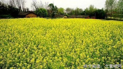 斗志昂扬的名人名言