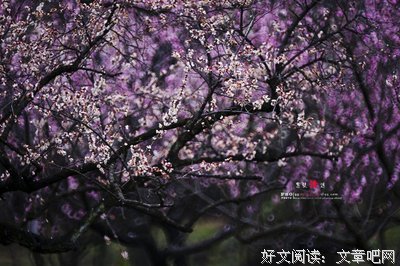 意乱情迷的句子