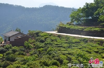 天高地厚的名言_关于天高地厚的名言