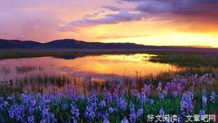 落日微凉的优美句子